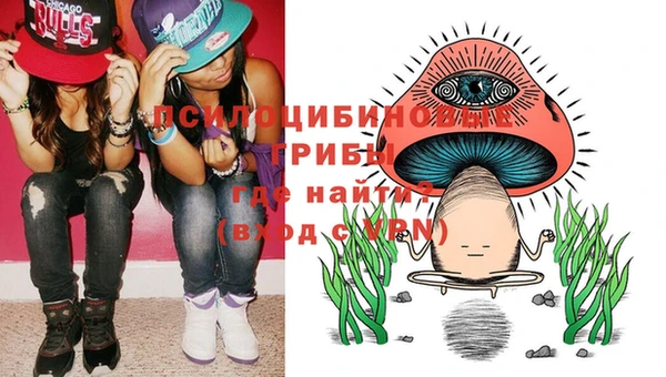 гидропоника Нягань