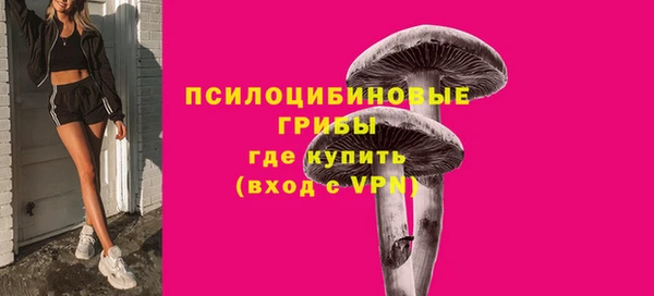 шишки Нязепетровск