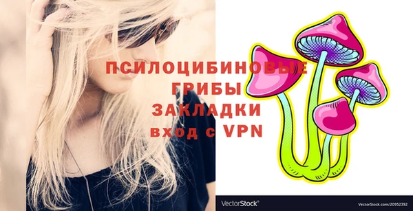spice Няндома