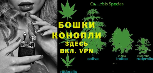 spice Няндома