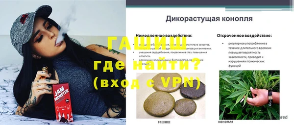 шишки Нязепетровск