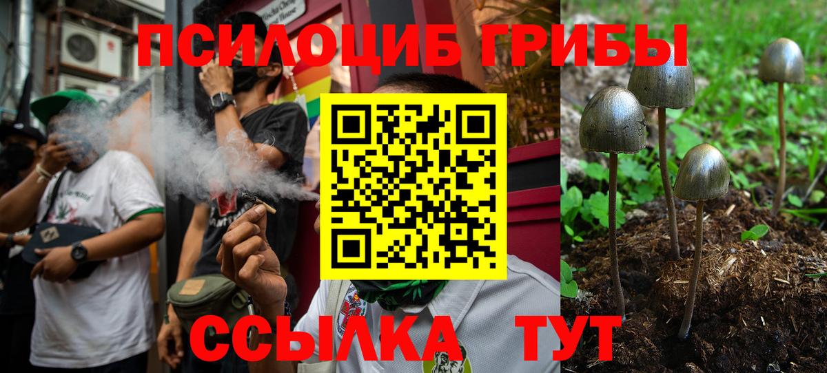 Псилоцибиновые грибы мицелий Белово