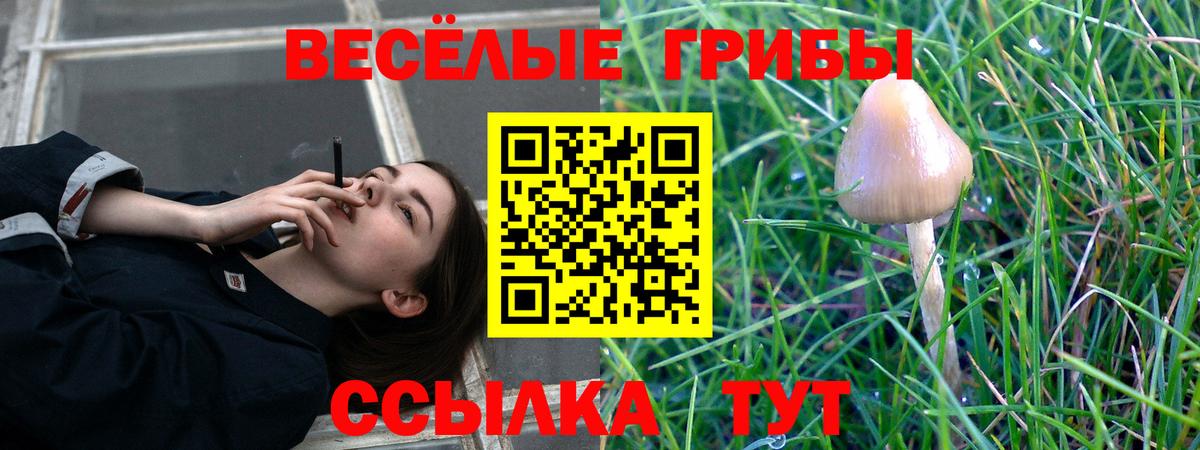 Псилоцибиновые грибы мухоморы  Галлюциногенные грибы Psilocybine cubensis  Белово 