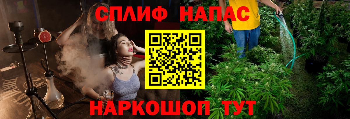 Шишки марихуана марихуана Белово